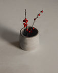 Mini plant placed on sand ceramic smudging cup, creating a natural and calming atmosphere