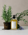 organic aromatherapy body wash in glass pump bottle displayed with fresh herbs and botanicals.
