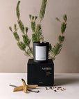 ambre scented candle with a package, wood sticks, vanilla, and some plants