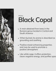 Information about Black Copal resin, describing its origin from Bursera trees and its grounding, purifying properties when burned