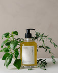 organic aromatherapy body wash in pump bottle surrounded by fresh green botanicals, highlighting clean formulation.