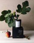 Figue Verte Scented Candle with a package, fig, and other plants