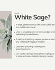informational graphic explaining white sage with bullet points describing its appearance, uses in smudging, purifying properties, calming aroma, and stress relief benefits