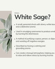what is white sage benefits of white sage smudging for cleansing and relaxation