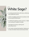 White Sage plant with list of smudging benefits and calming properties