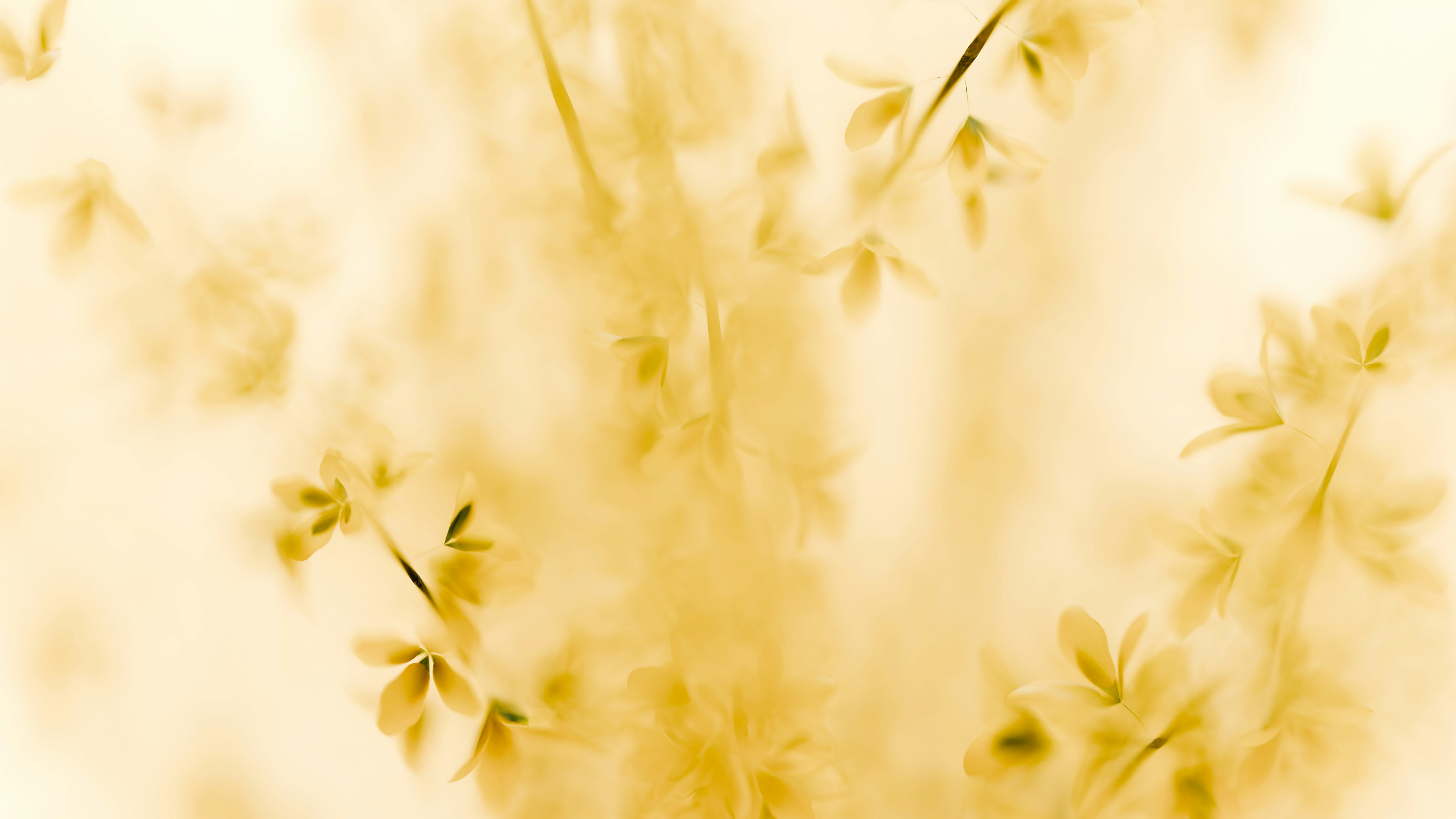 Under the Flower Moon: A New Seal and the Season of Bloom