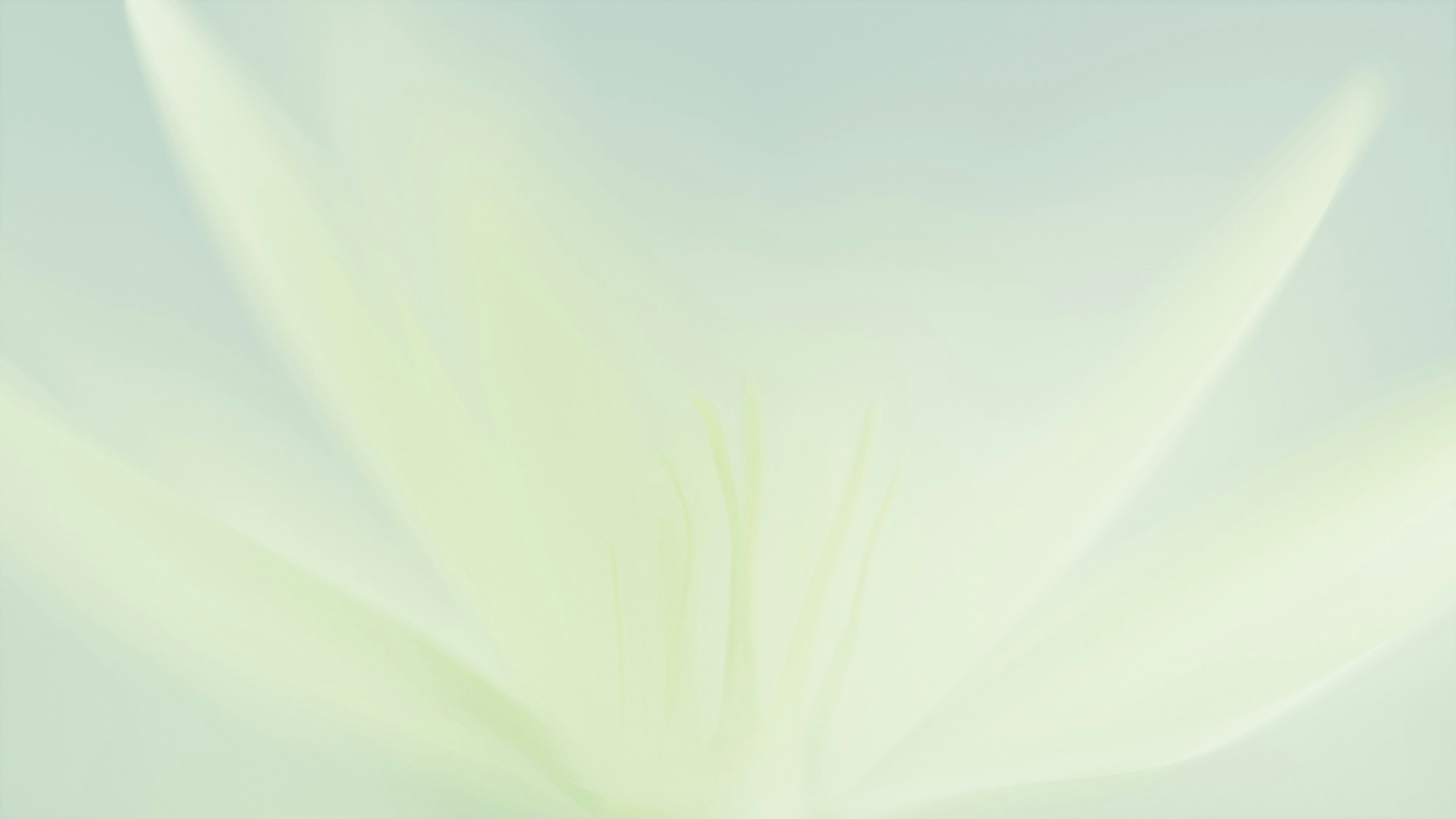 Soft Stirring: From Structure to Sensation