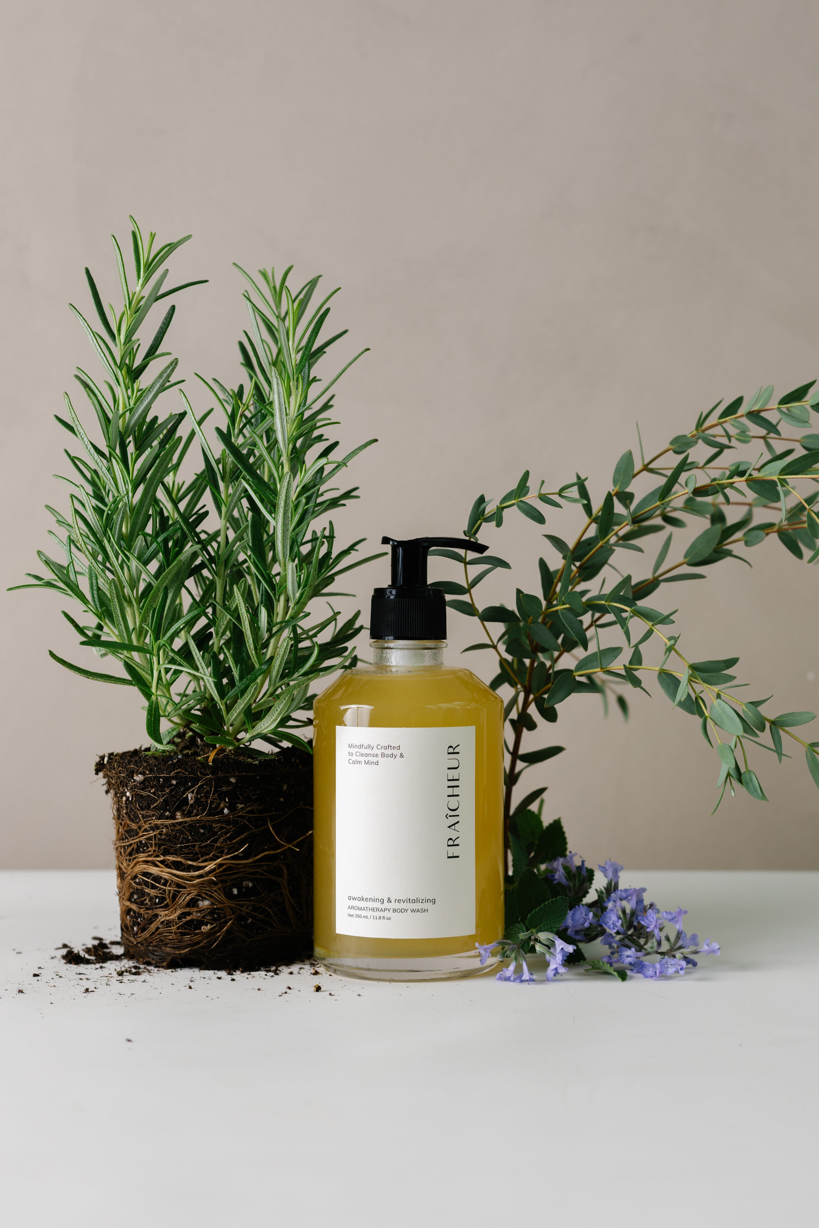 organic aromatherapy body wash in glass pump bottle displayed with fresh herbs and botanicals.