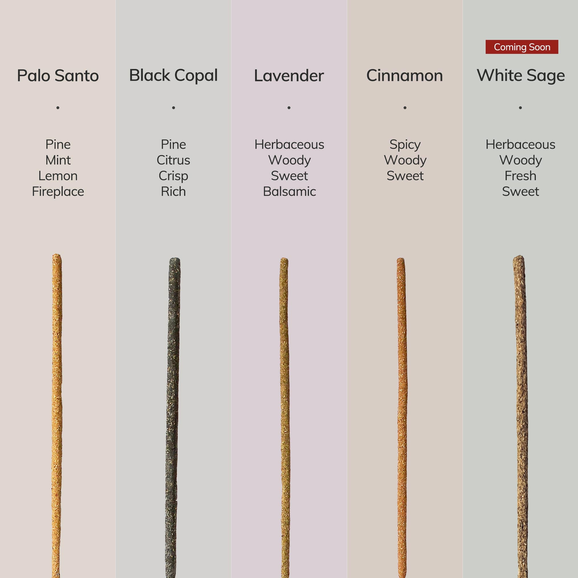 5 different types of incense sticks and the scents: Palo Santo, Black Copal, Lavender, Cinnamon, White Sage.