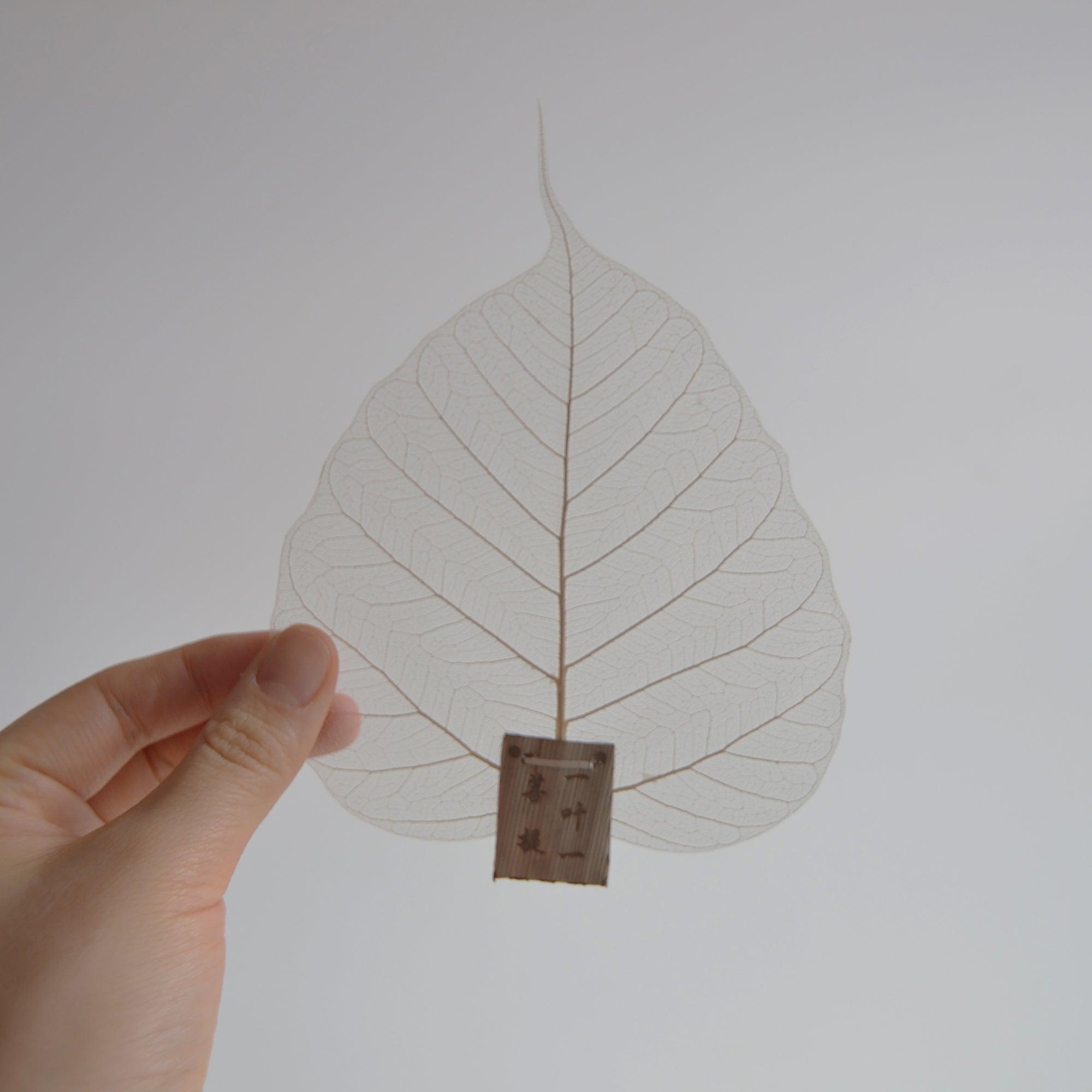 [Tea Ritual] Natural Leaf Shape Tea Strainers - CEDAR AND MYRRH